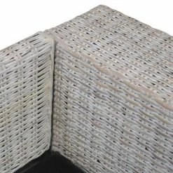 VidaXL Canapé à 2 places avec coussins Gris Rotin naturel -Canapés Soldes 2022 image 6 283070